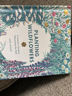 Planting Wildflowers